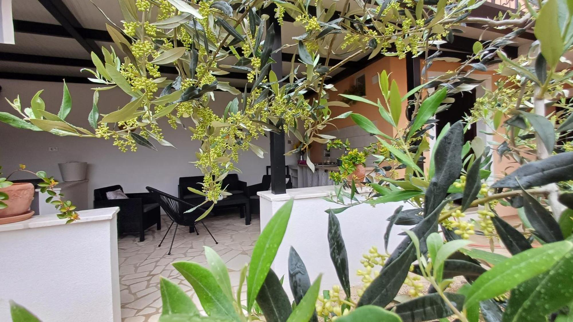 Apartament Casa Simeti Poreč Zewnętrze zdjęcie